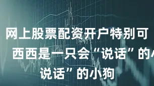 网上股票配资开户特别可爱！  西西是一只会“说话”的小狗