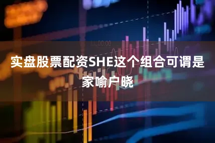 实盘股票配资SHE这个组合可谓是家喻户晓
