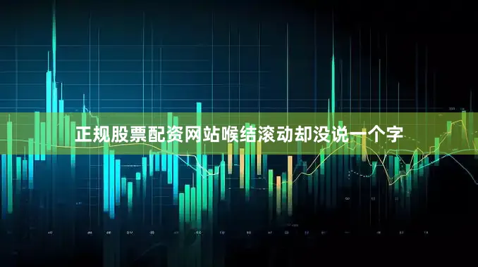 正规股票配资网站喉结滚动却没说一个字
